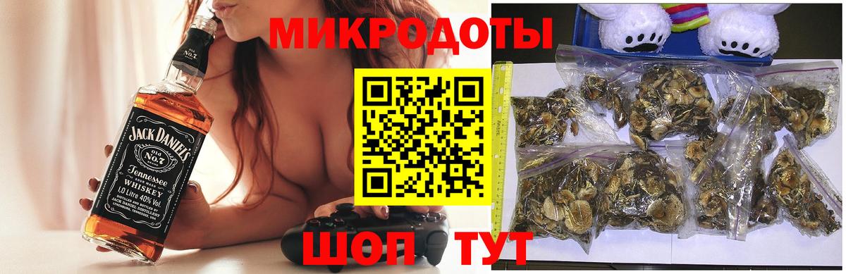 Пугачёв  Псилоцибиновые грибы MAGIC MUSHROOMS  Вход с VPN 