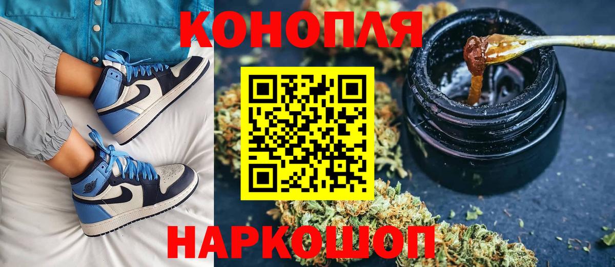 Бошки марихуана конопля Пугачёв